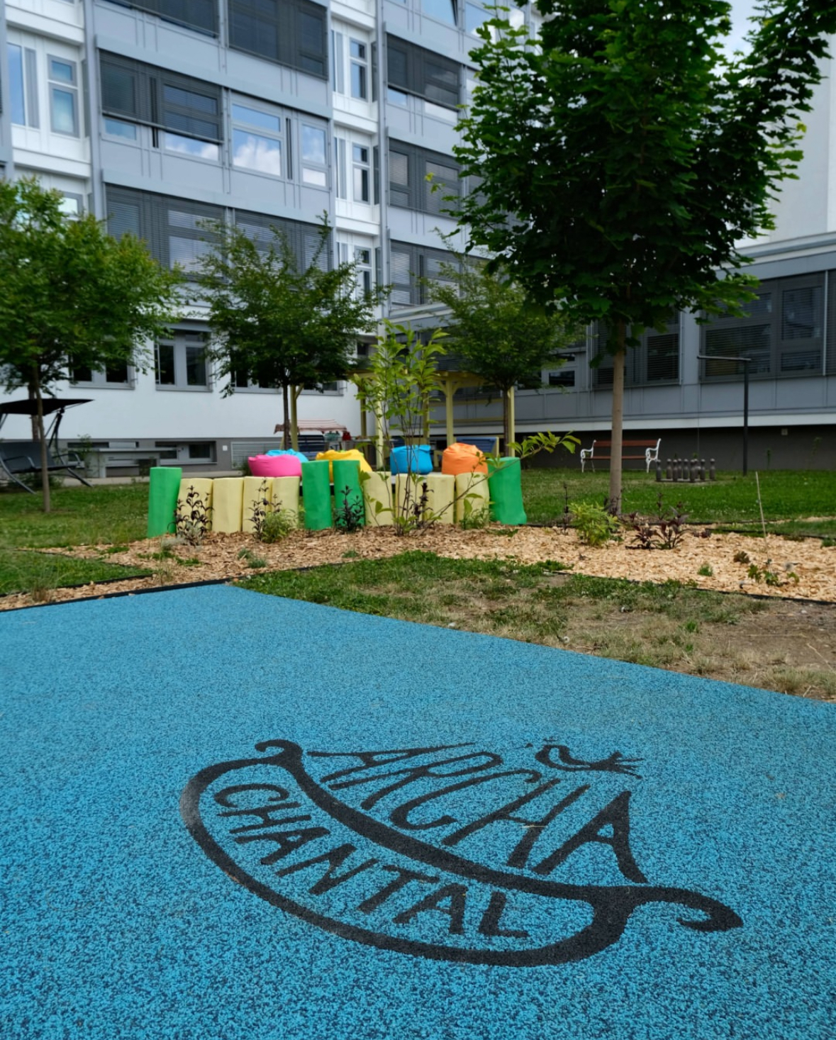  - Image6