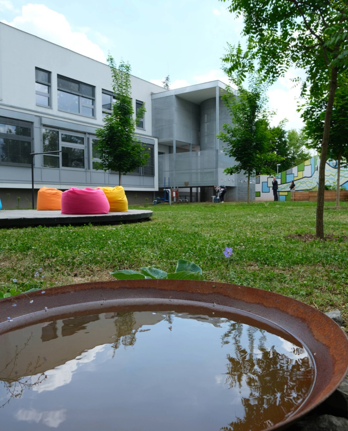  - Image7